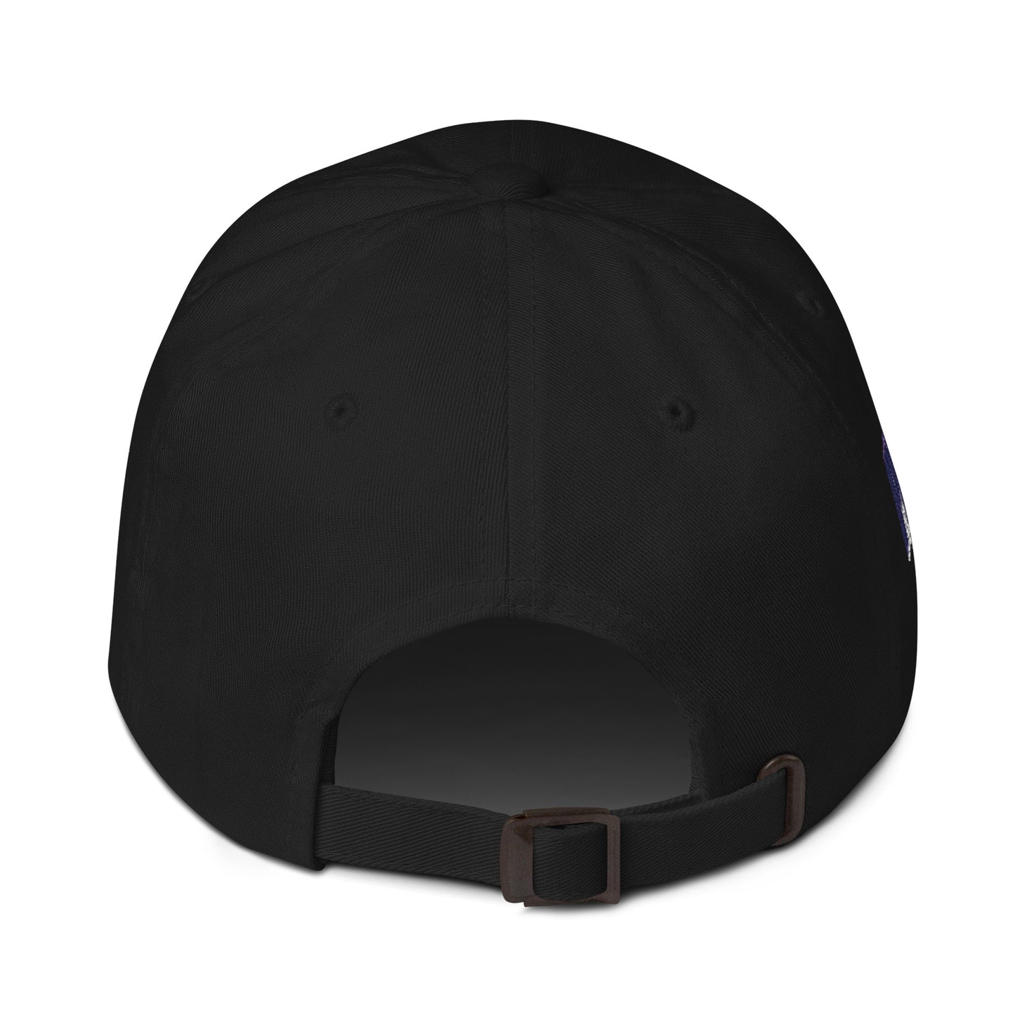 Missouri Since 1821 Cap