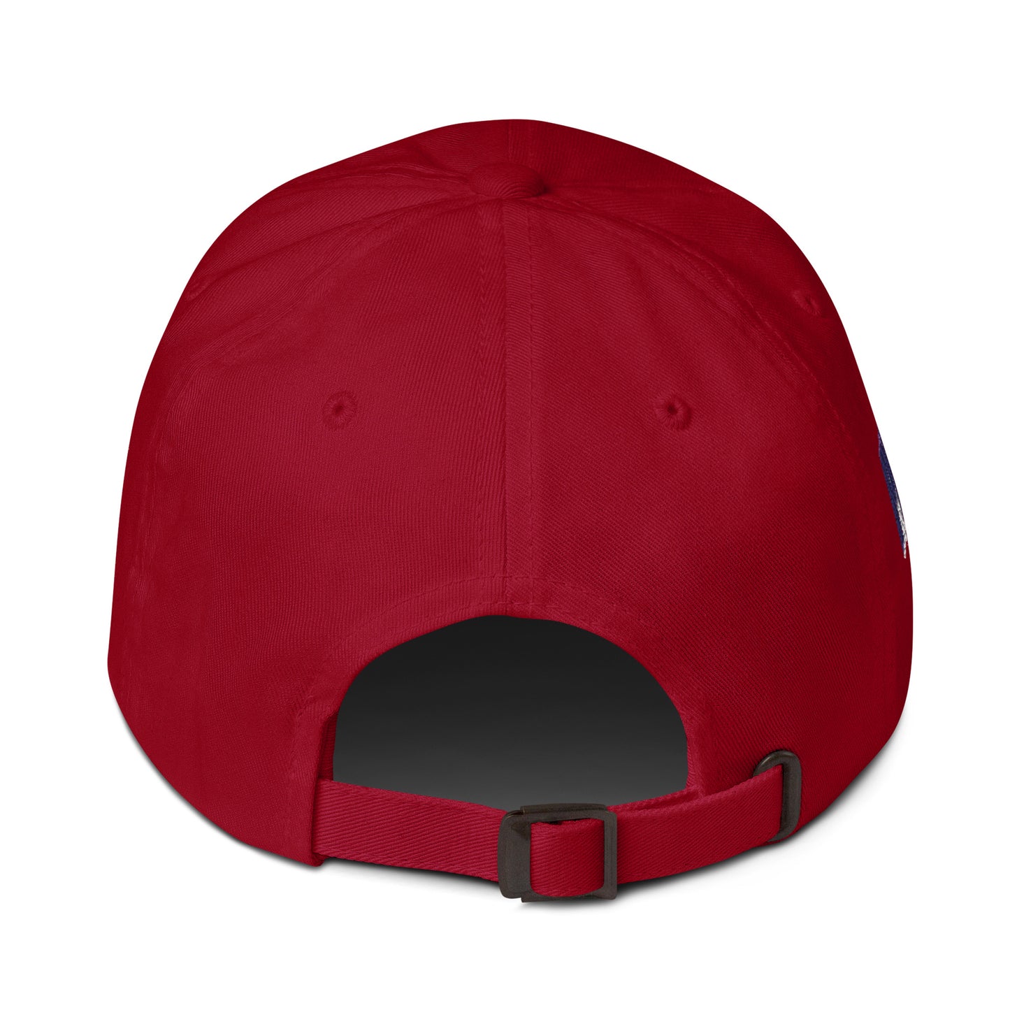 Missouri Since 1821 Cap