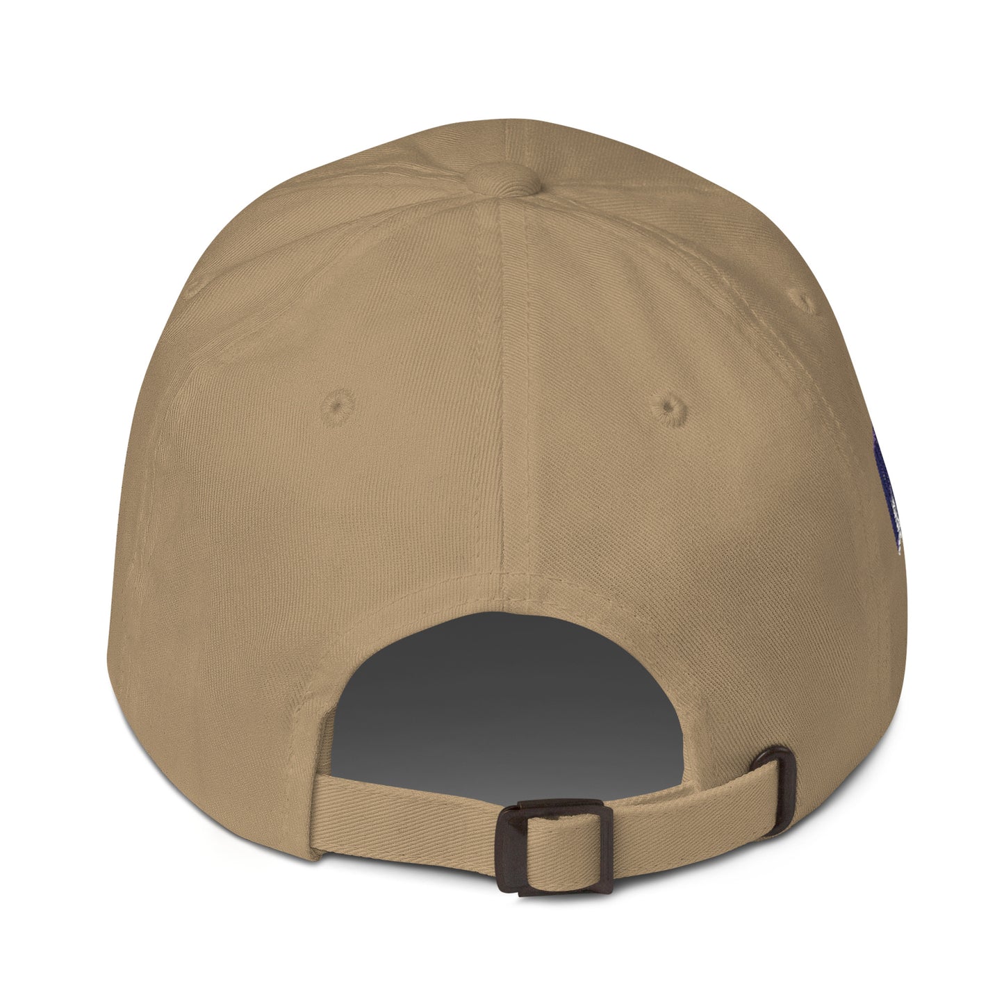 Missouri Since 1821 Cap