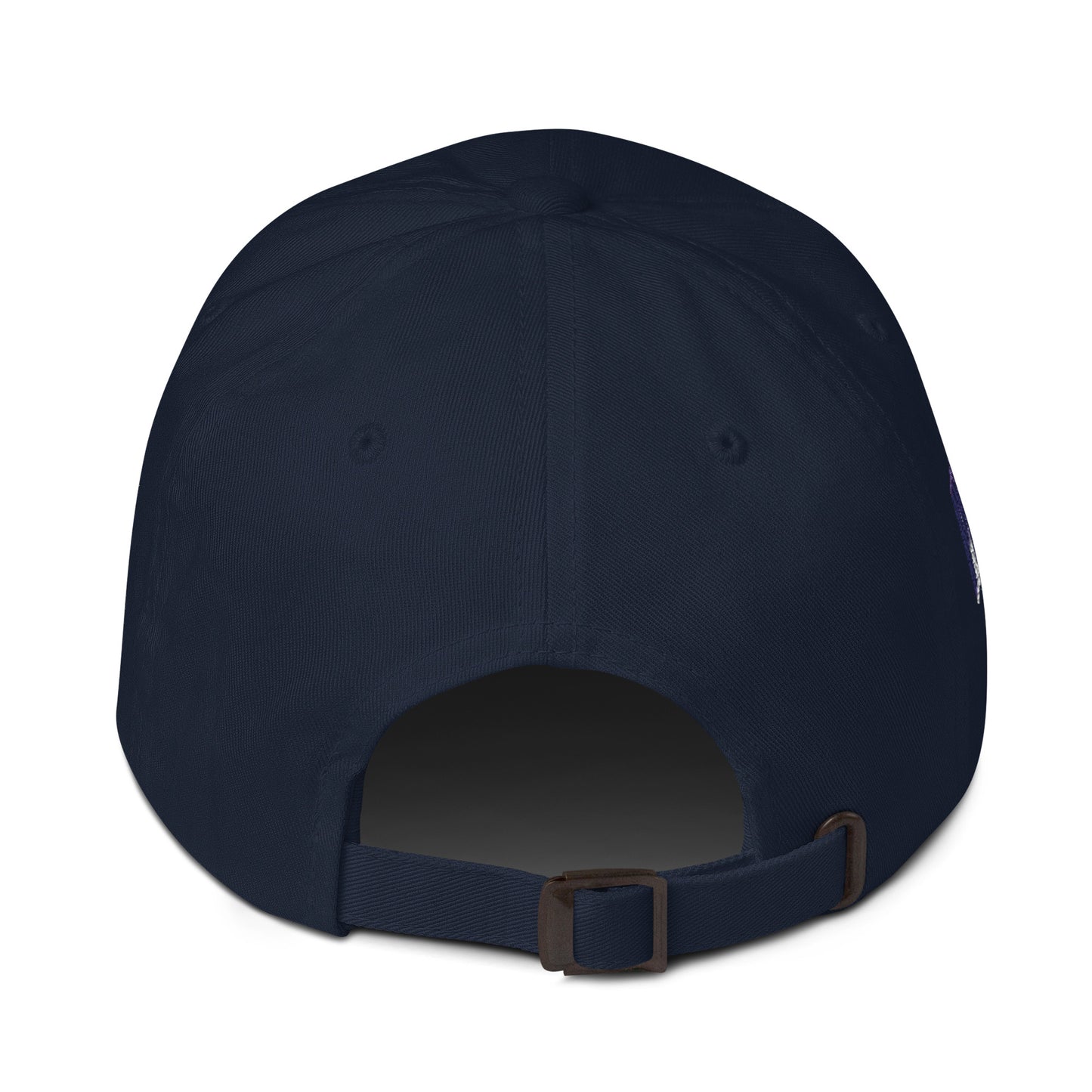 Missouri Since 1821 Cap