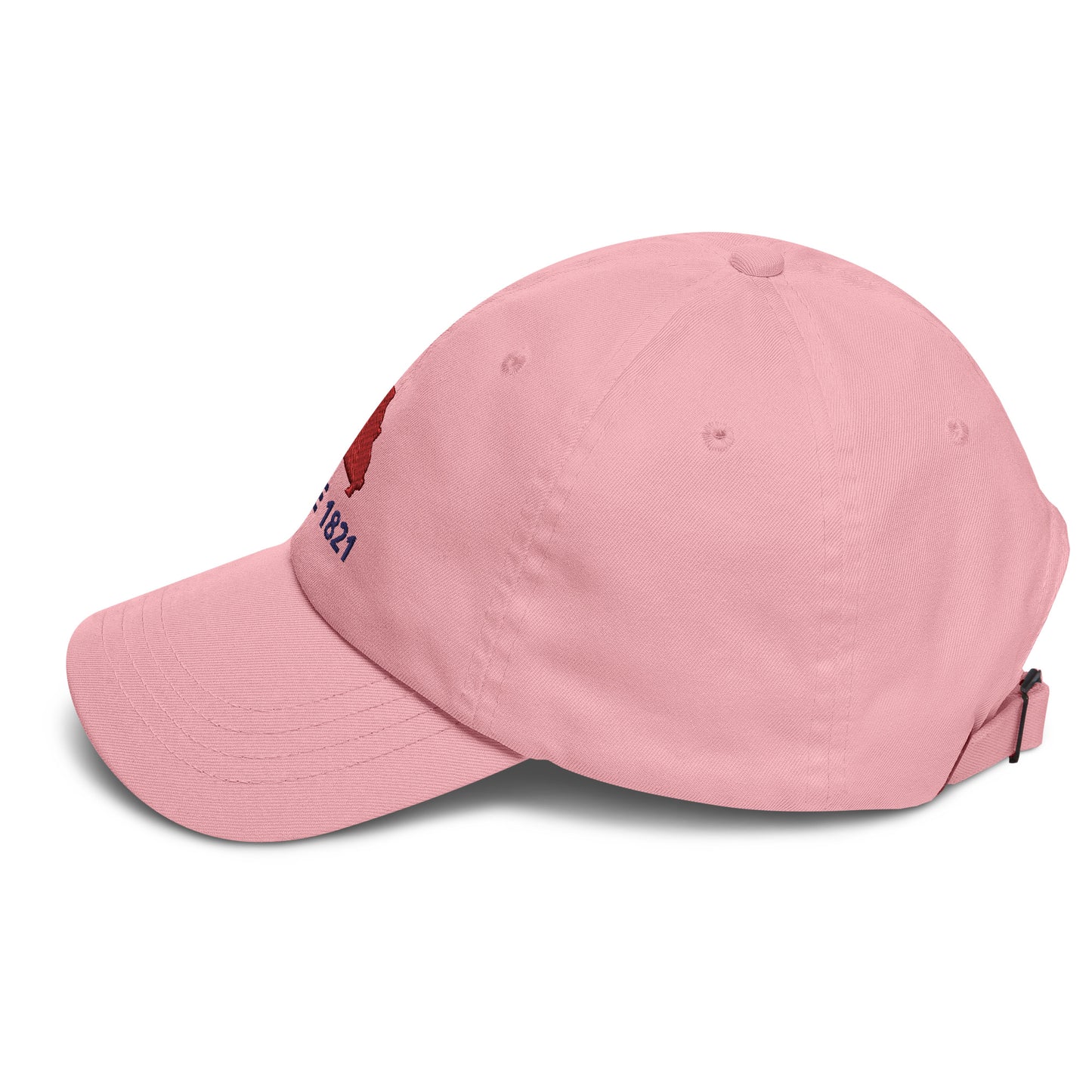 Missouri Since 1821 Cap