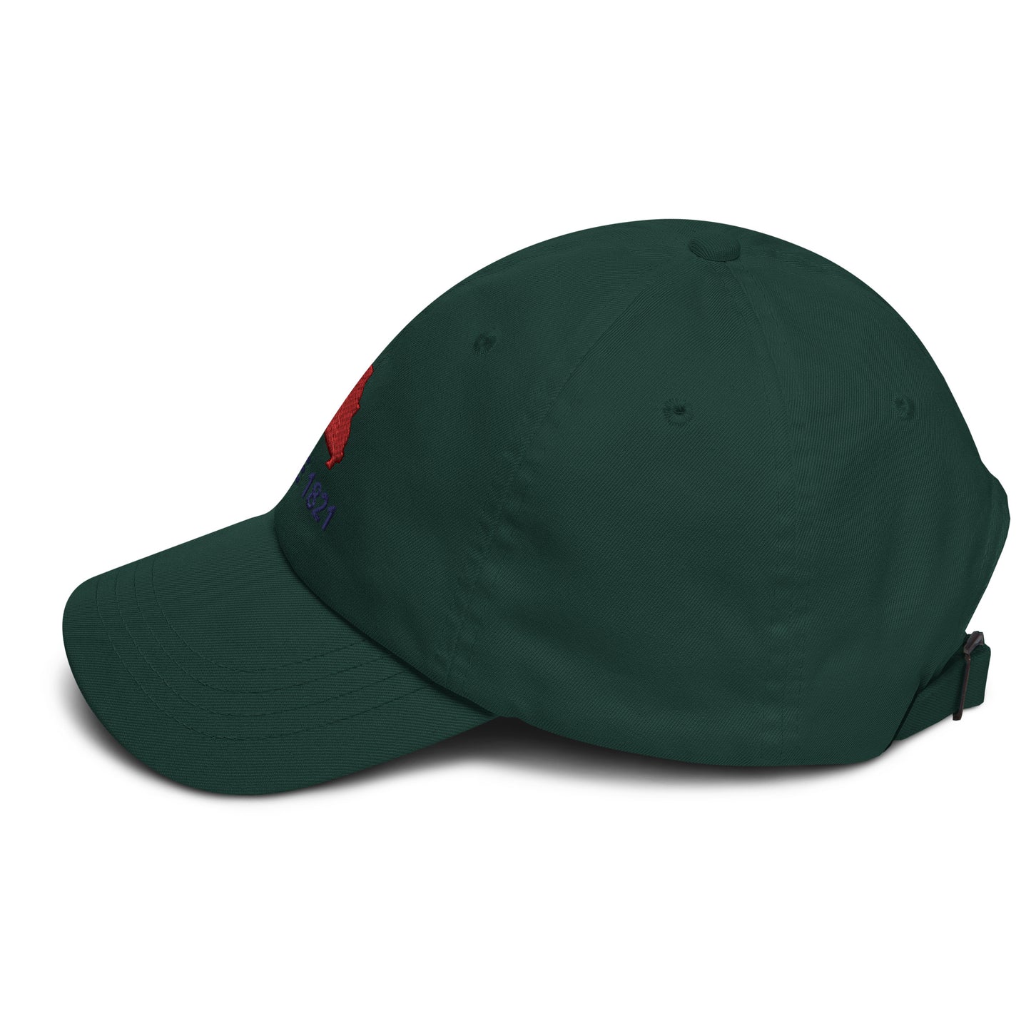 Missouri Since 1821 Cap