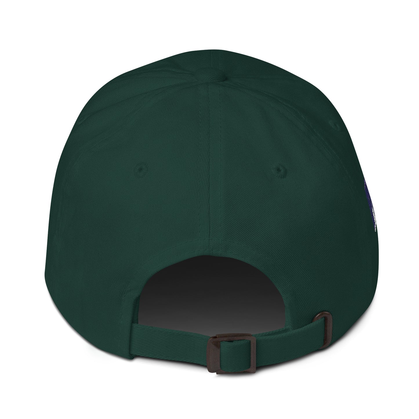 Missouri Since 1821 Cap