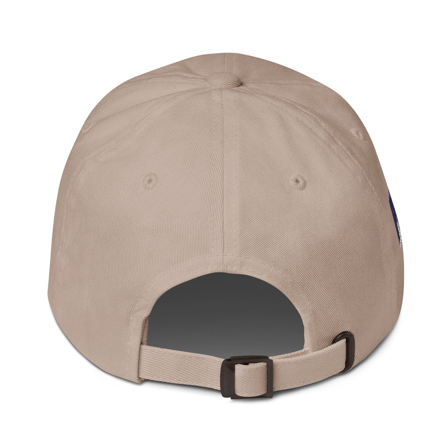 Missouri Since 1821 Cap