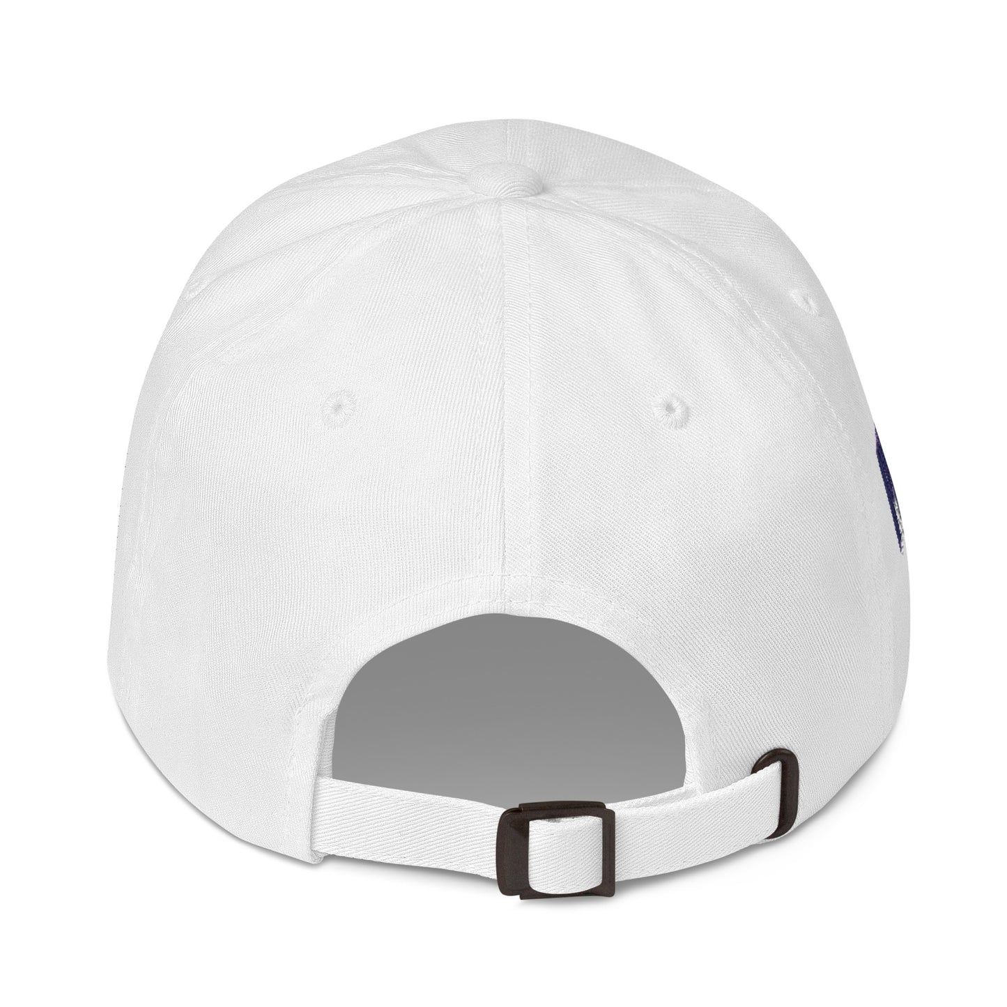 Missouri Since 1821 Cap