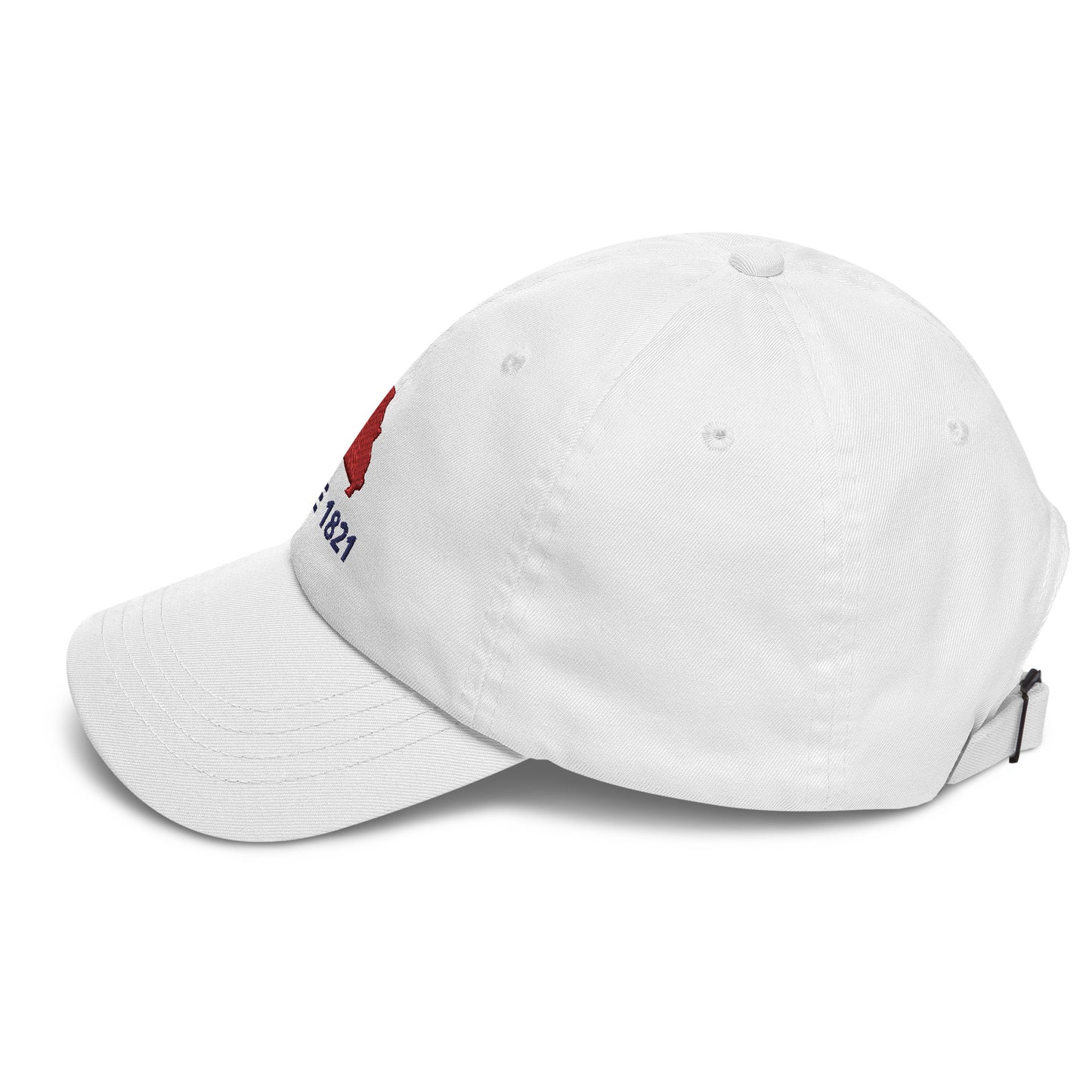 Missouri Since 1821 Cap