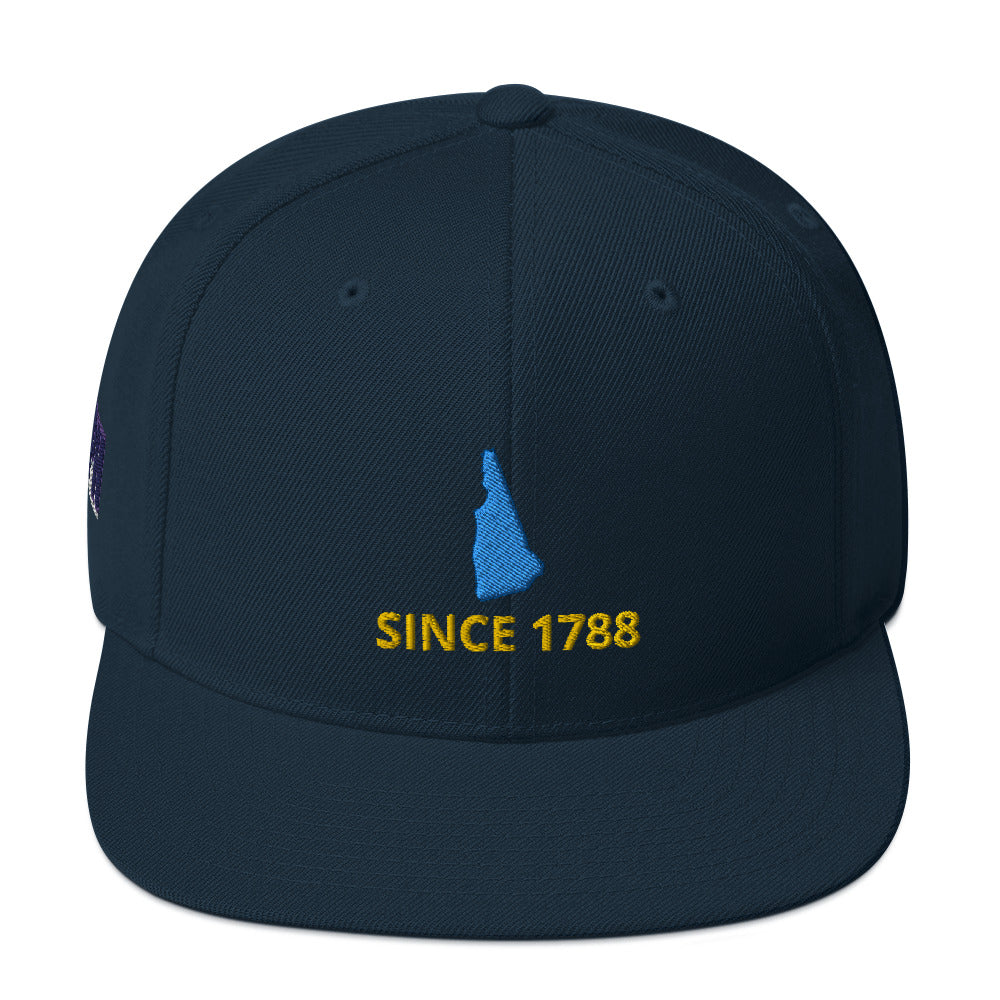 New Hampshire Flat Bill Since 1788 Snapback Hat
