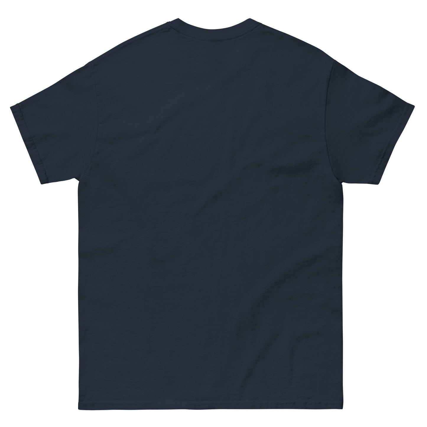 Diversity Rocks Unisex Classic 100% Cotton T-Shirt