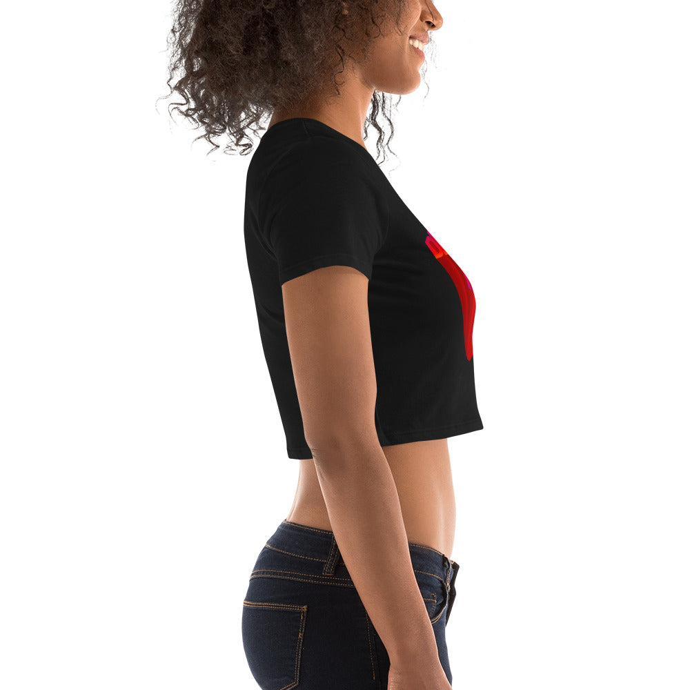 Diversity Rocks Women’s Crop Tee