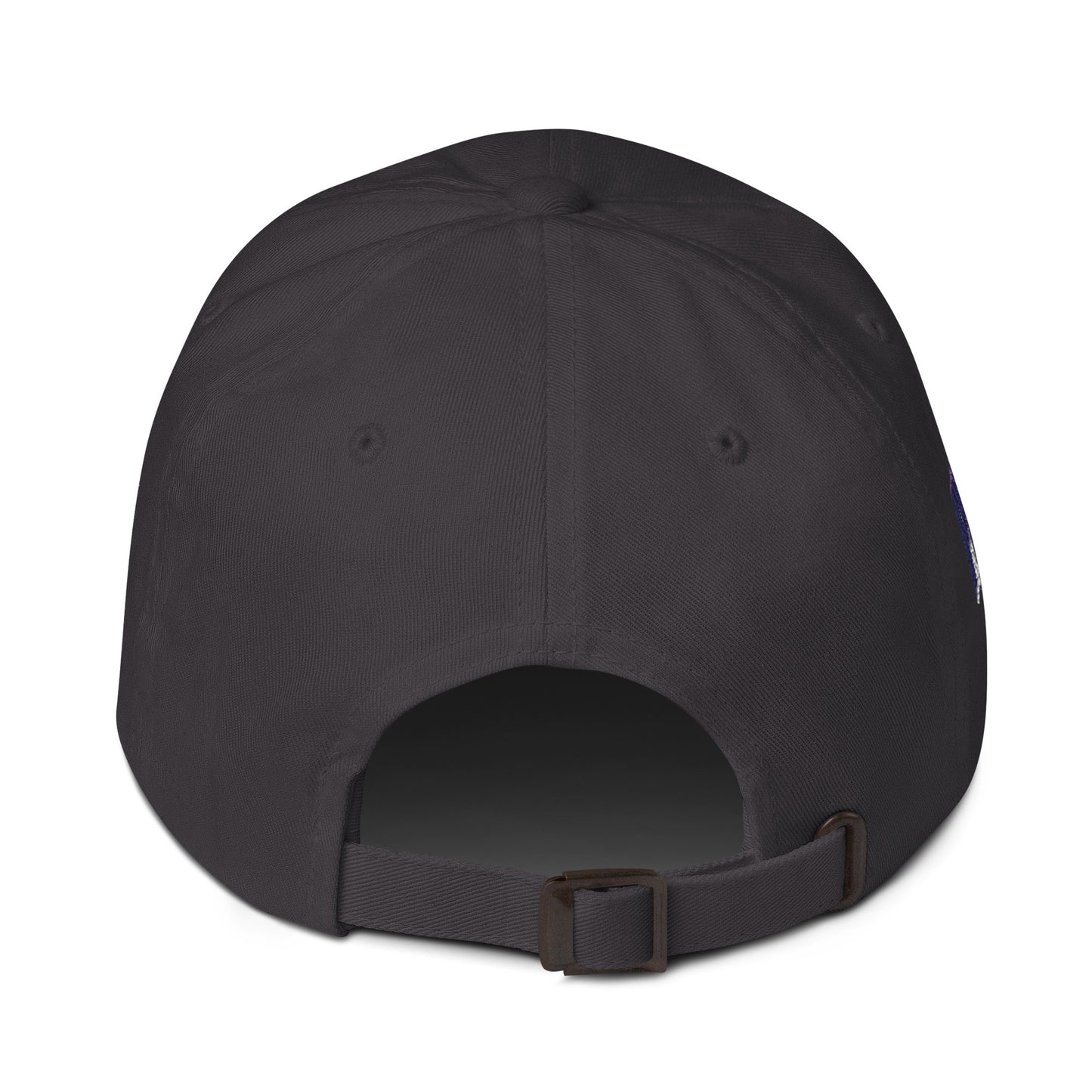 Missouri Since 1821 Cap