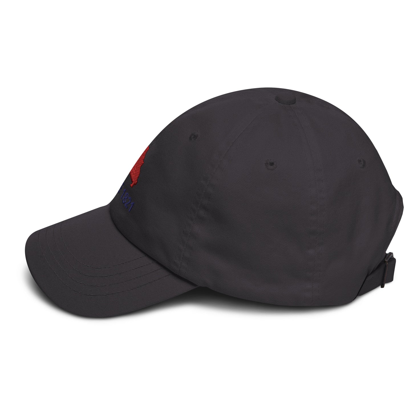 Missouri Since 1821 Cap