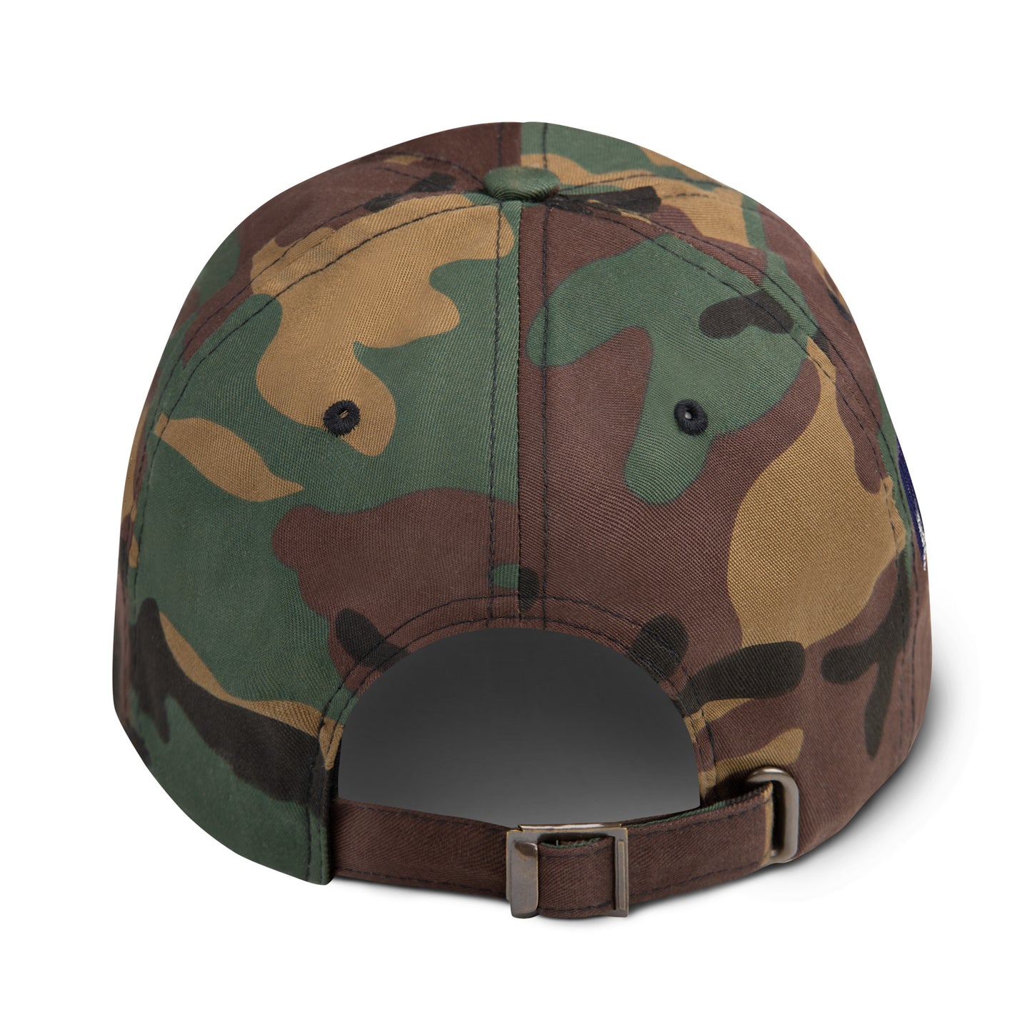 Missouri Since 1821 Cap