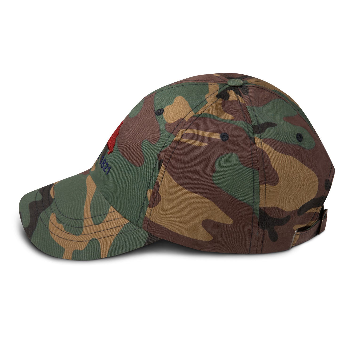 Missouri Since 1821 Cap