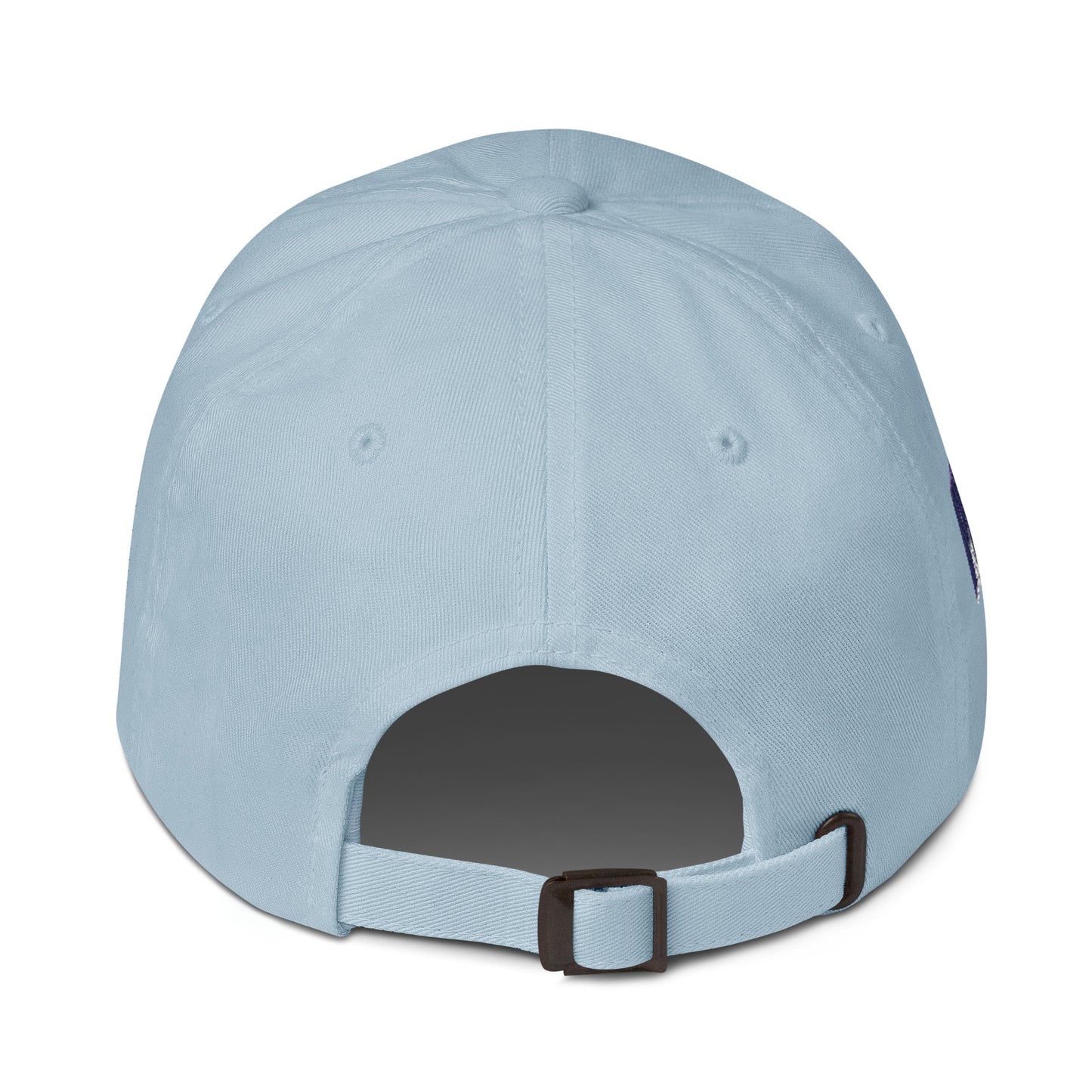 Missouri Since 1821 Cap