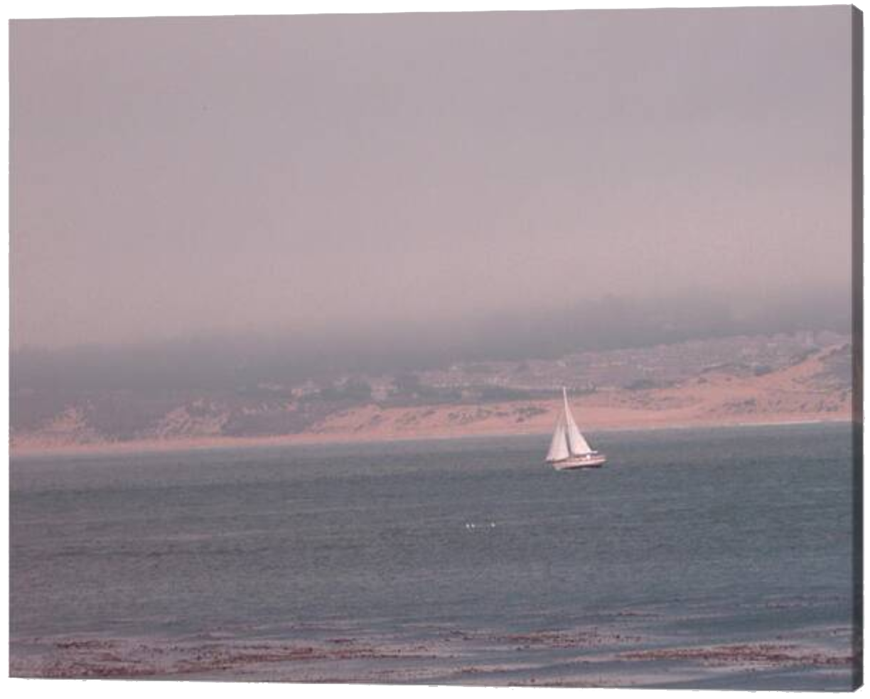 Sailing Solo Premium Canvas Art