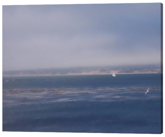 Solo Sail in Monterey Bay Premium Canvas Art