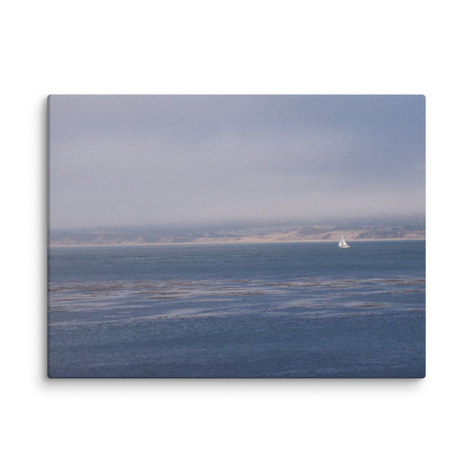 Solo Sail in Monterey Bay Canvas Print