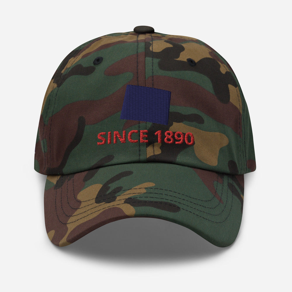 Wyoming Since 1890 Cap