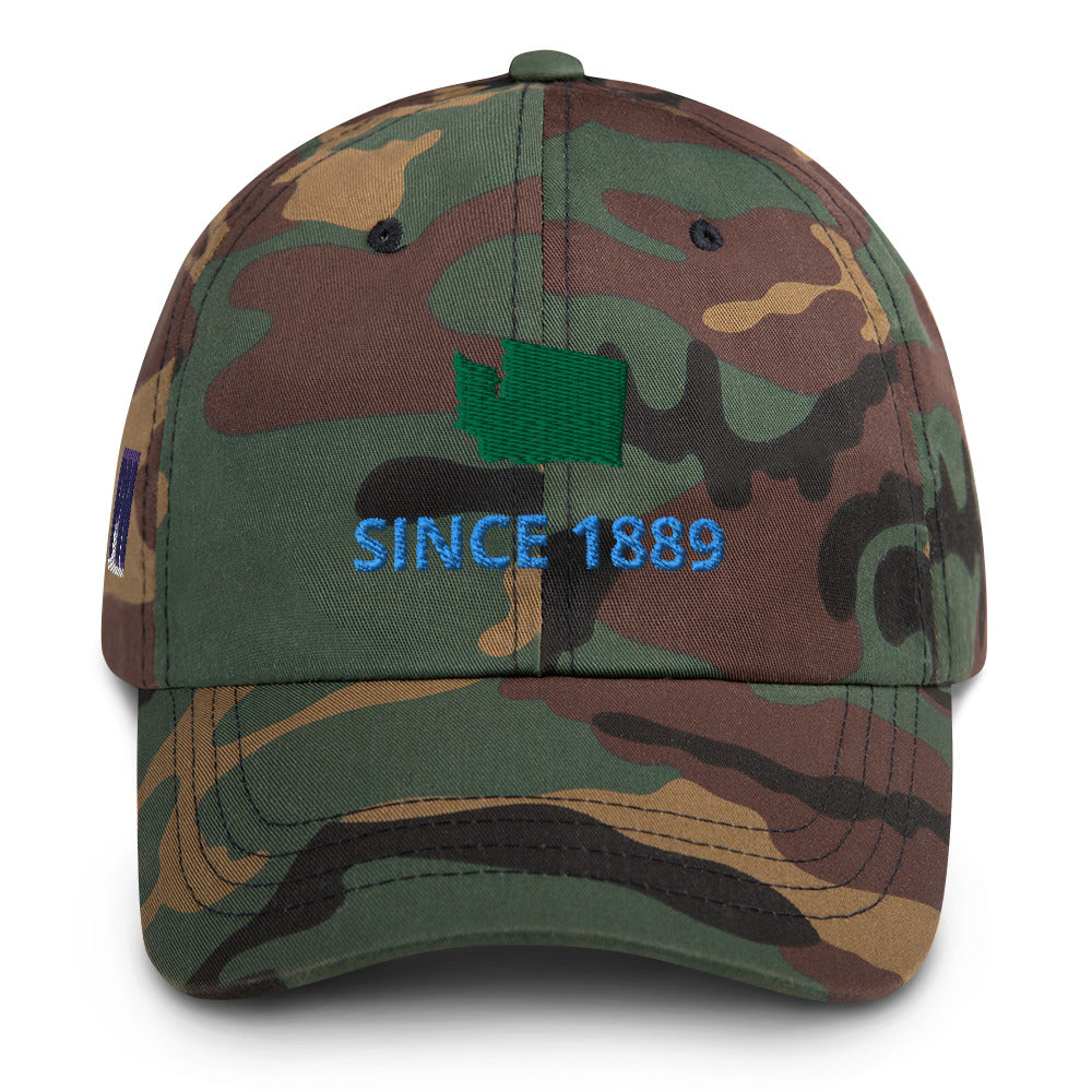 Washington Since 1889 Cap