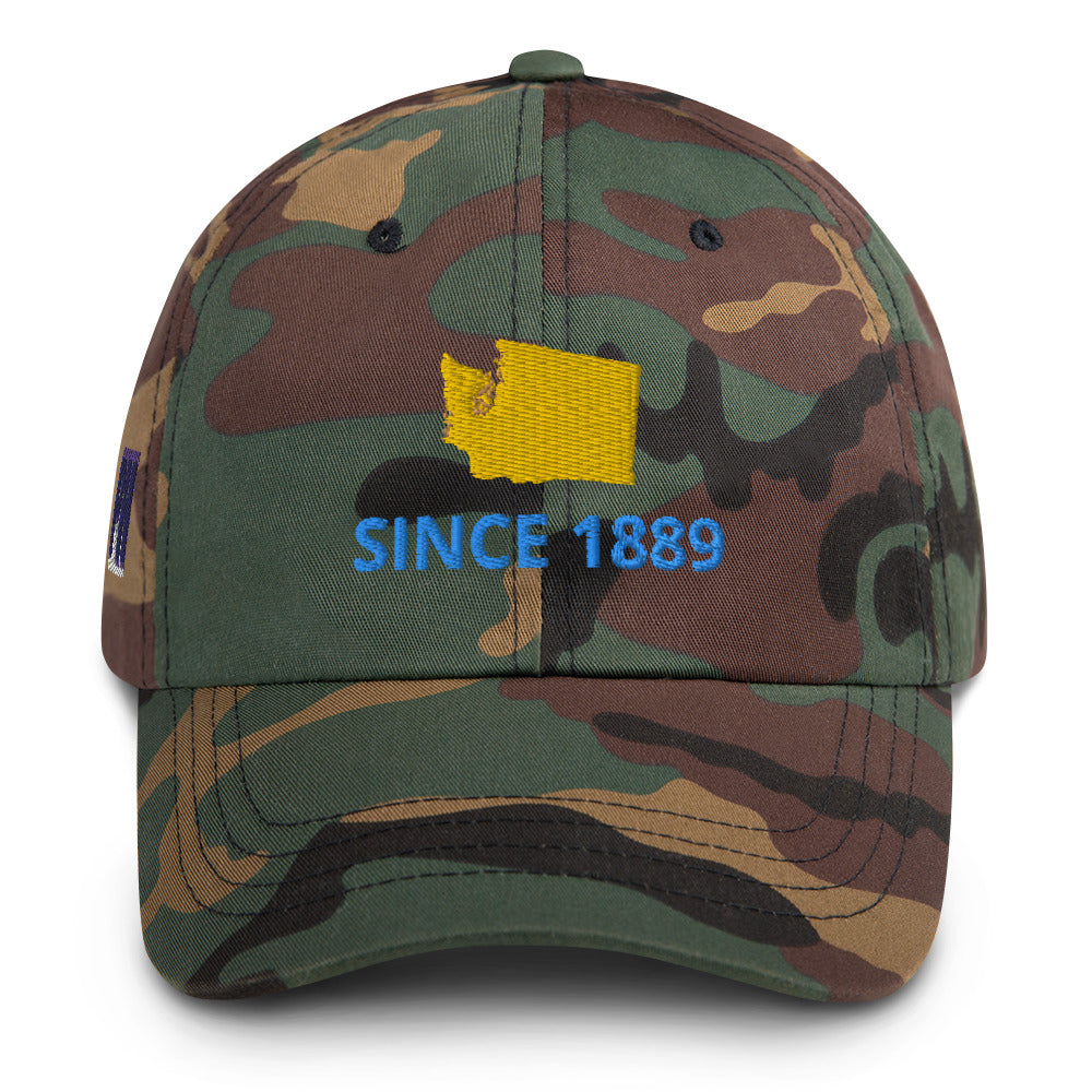 Washington Since 1889 Cap