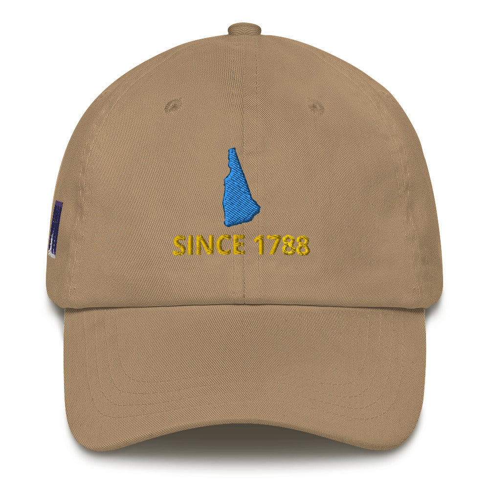 New Hampshire Since 1788 Cap