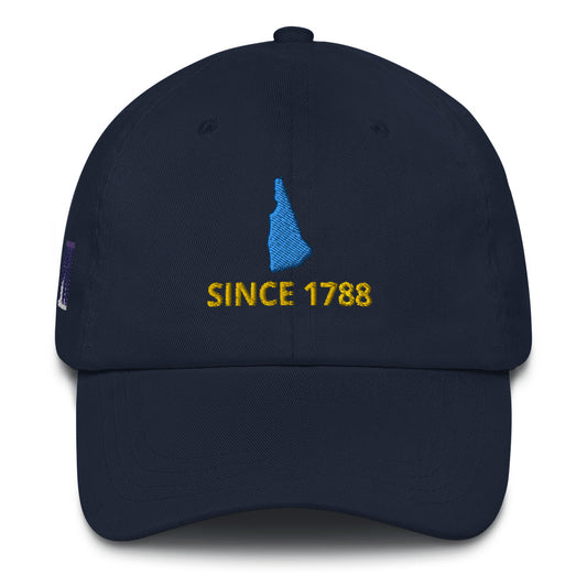 New Hampshire Since 1788 Cap