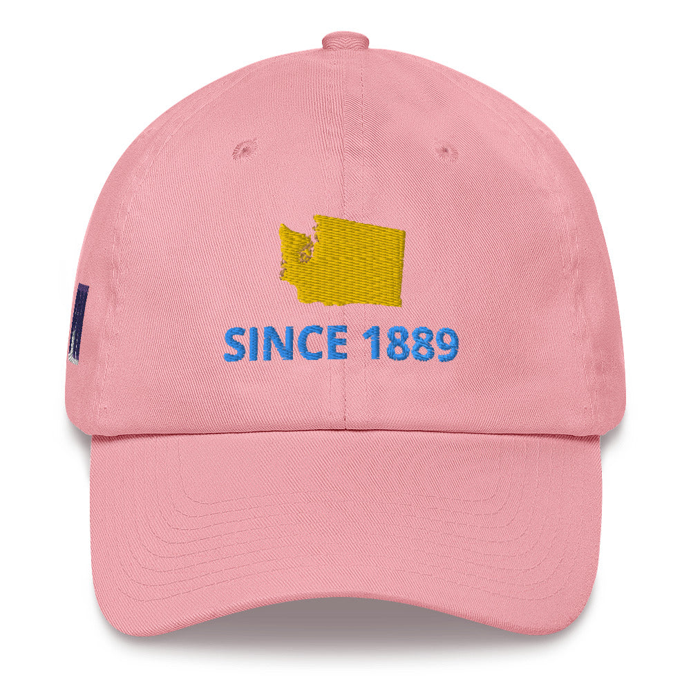 Washington Since 1889 Cap