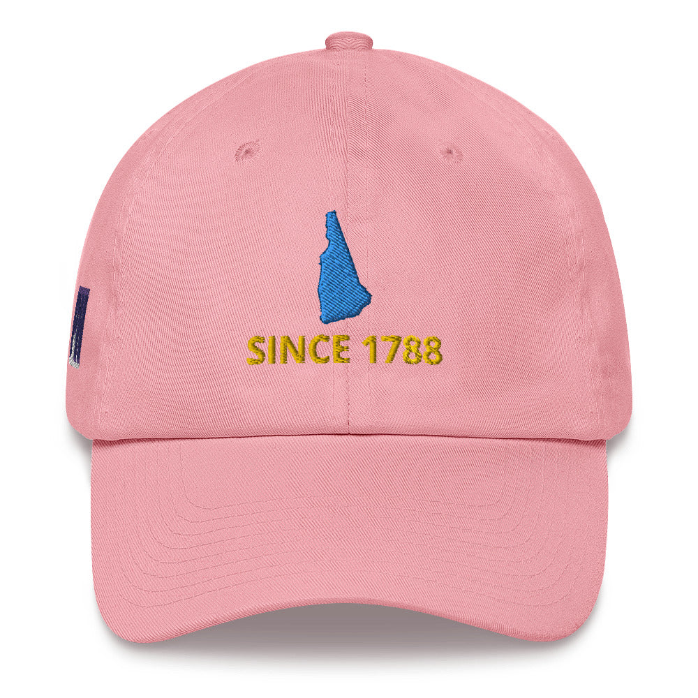 New Hampshire Since 1788 Cap