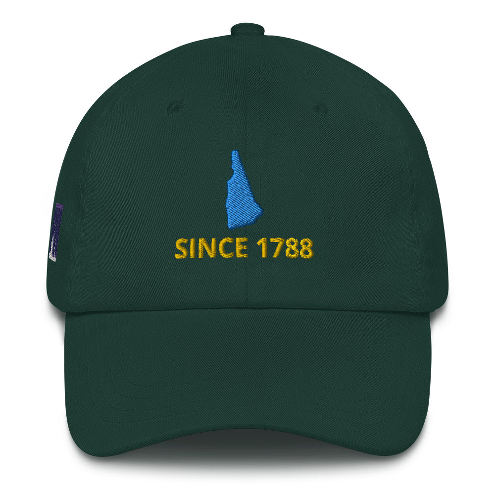 New Hampshire Since 1788 Cap