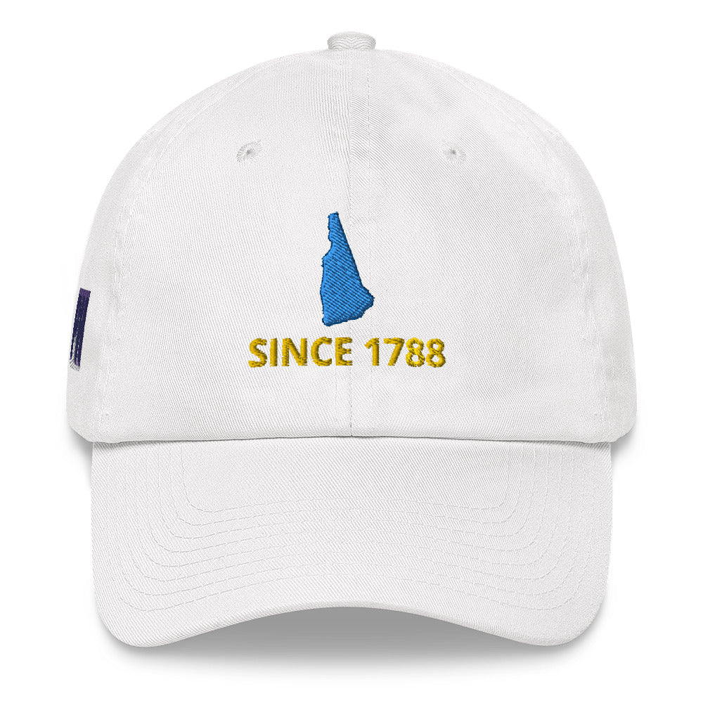 New Hampshire Since 1788 Cap