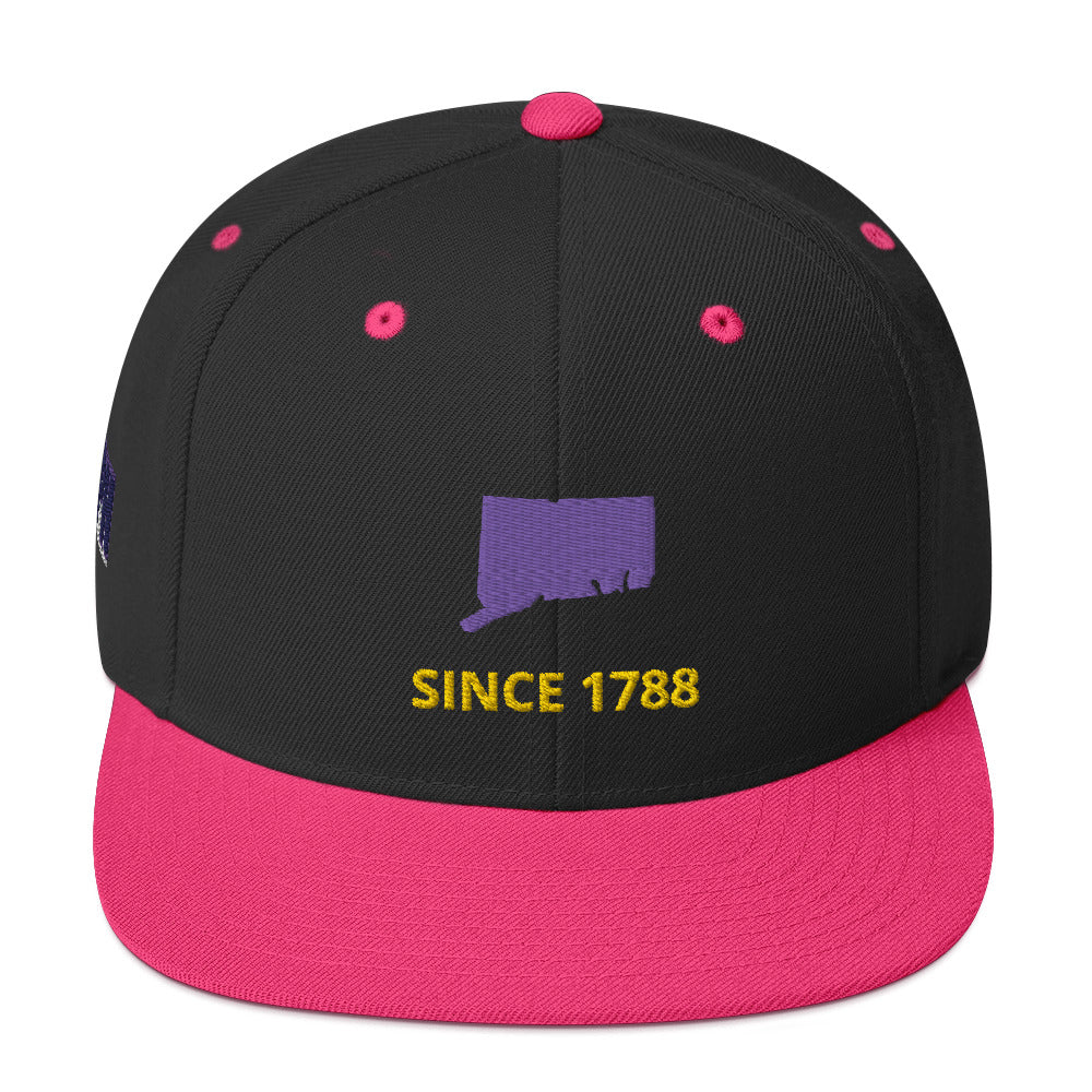 Connecticut Flat Bill Snapback Hat