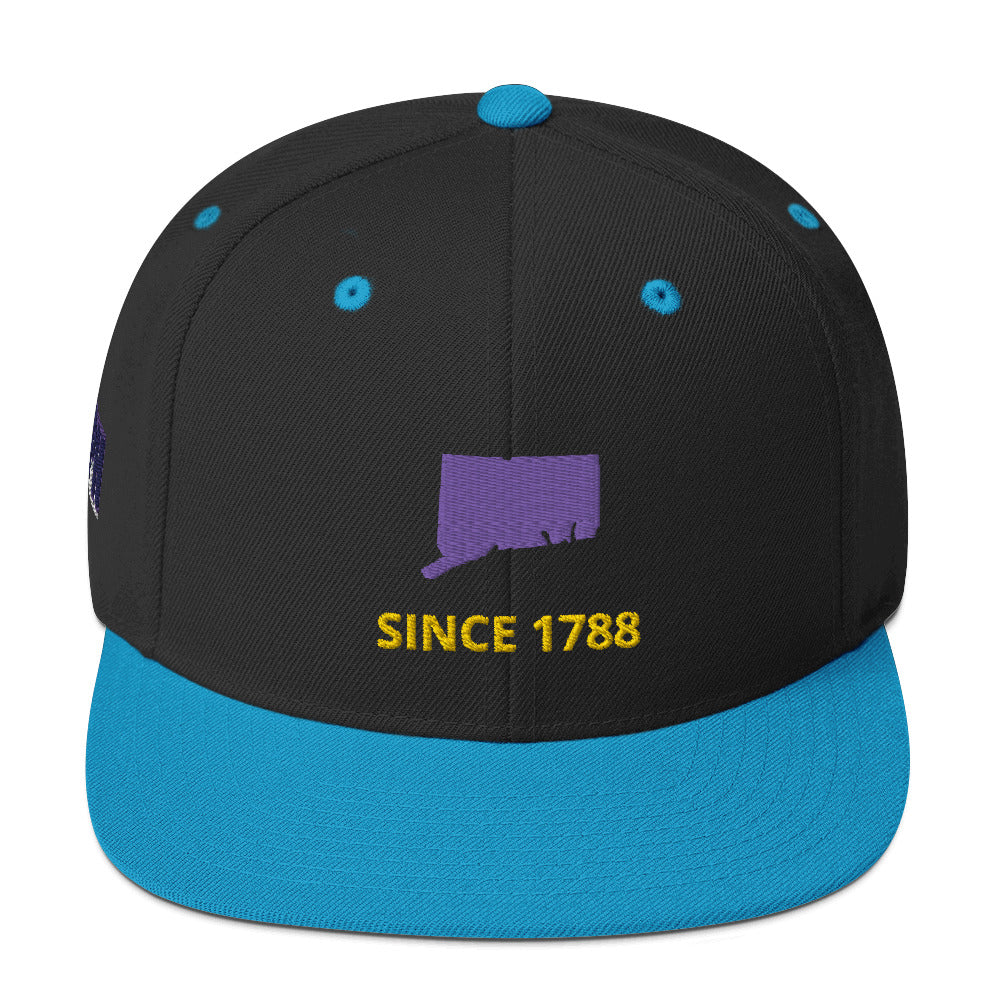 Connecticut Flat Bill Snapback Hat