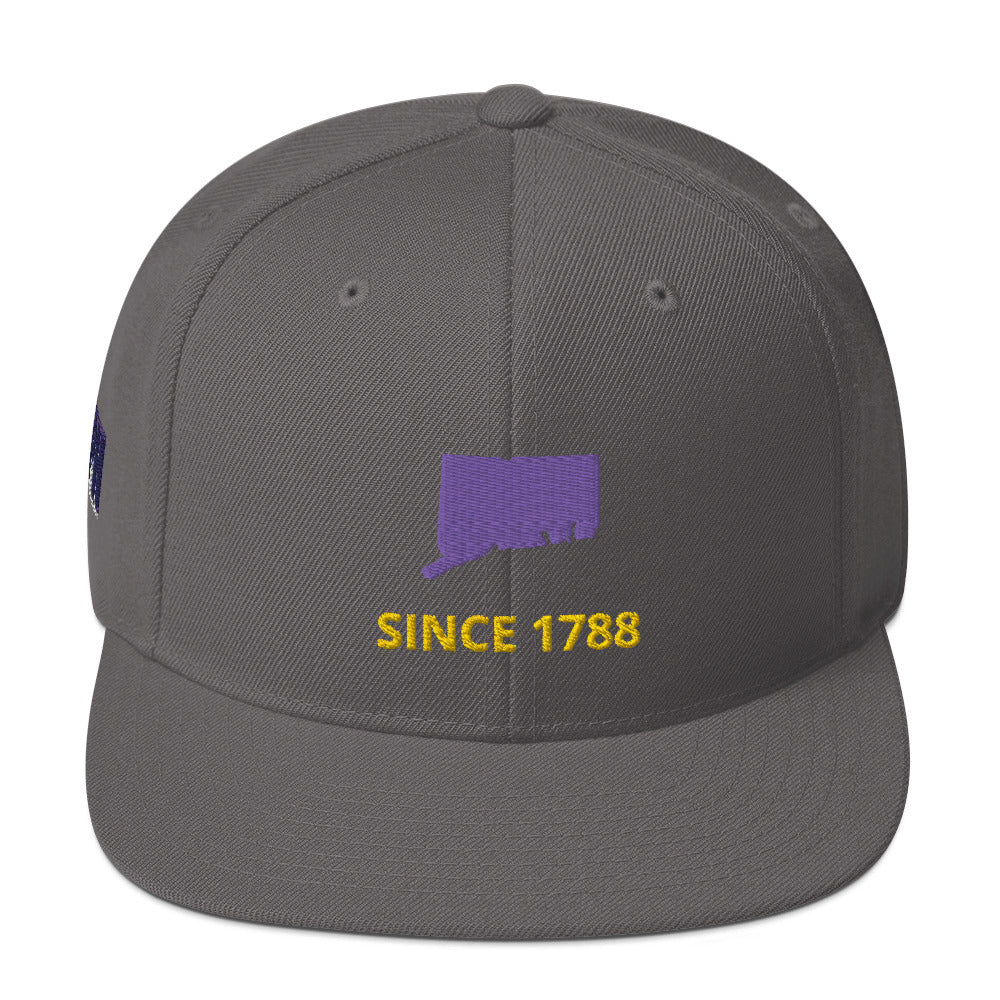 Connecticut Flat Bill Snapback Hat