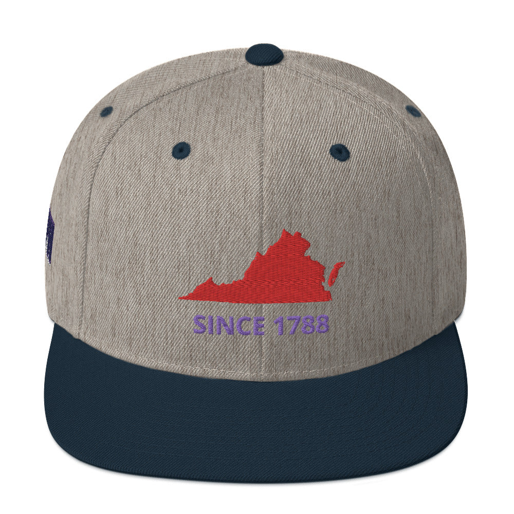 Virginia Since 1788 Flat Bill Snapback Hat