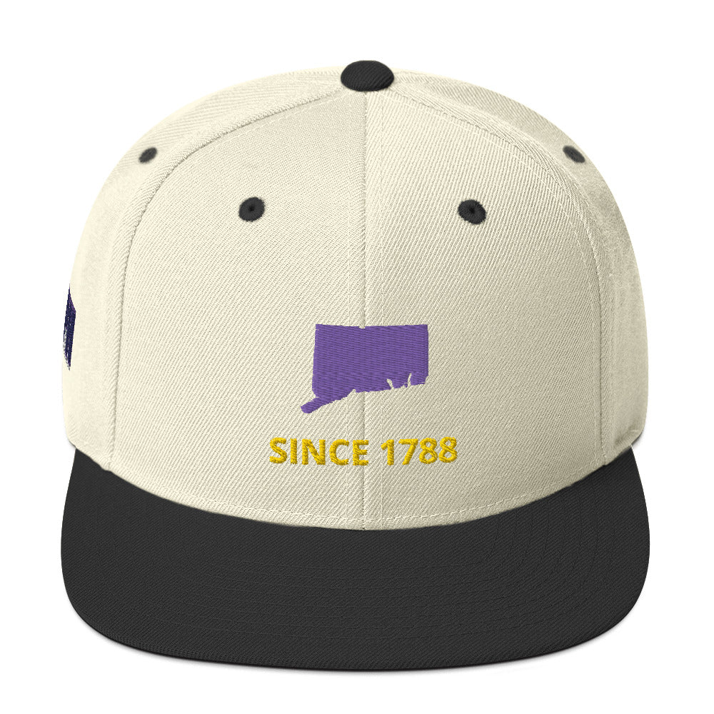 Connecticut Flat Bill Snapback Hat