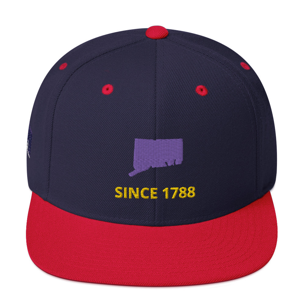 Connecticut Flat Bill Snapback Hat