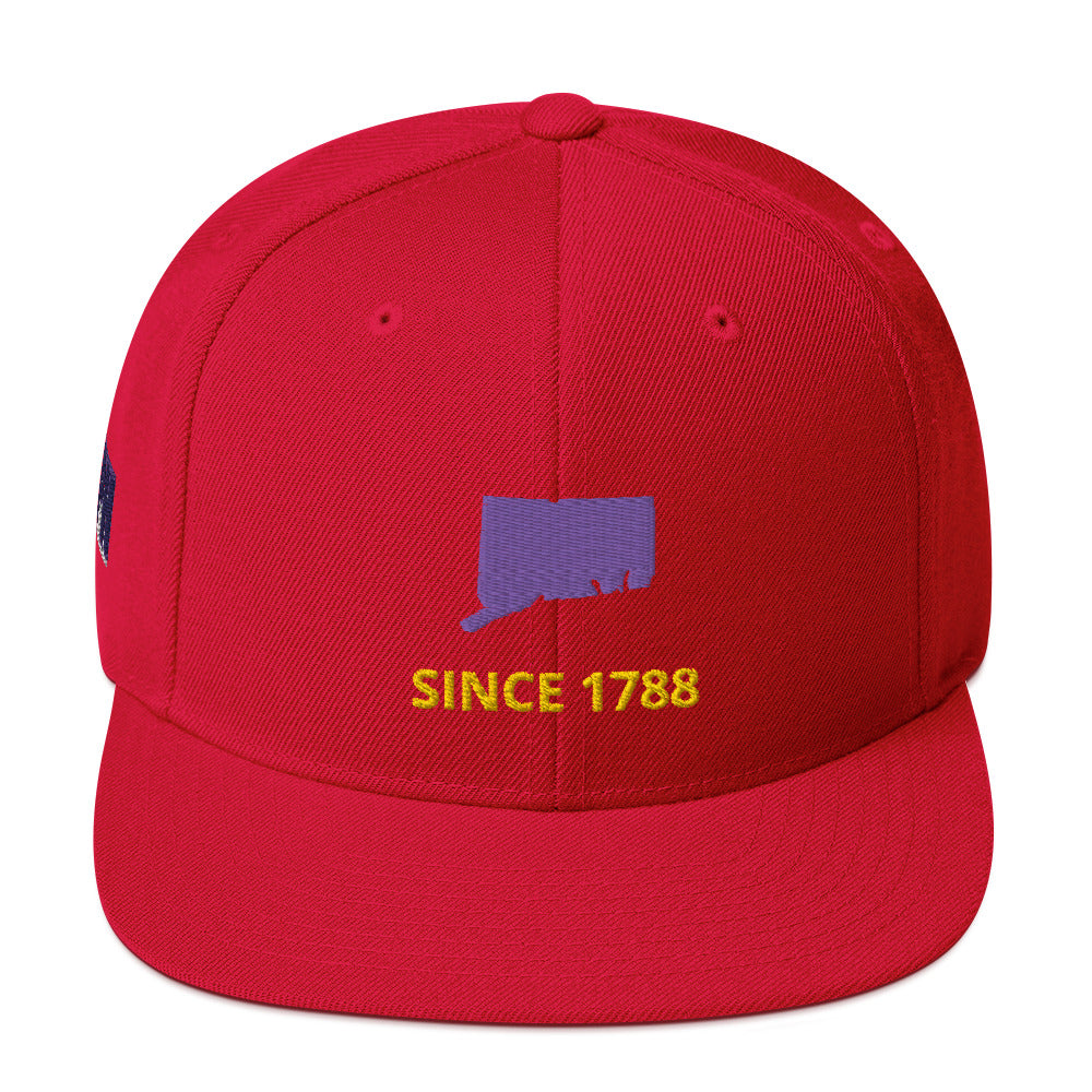 Connecticut Flat Bill Snapback Hat