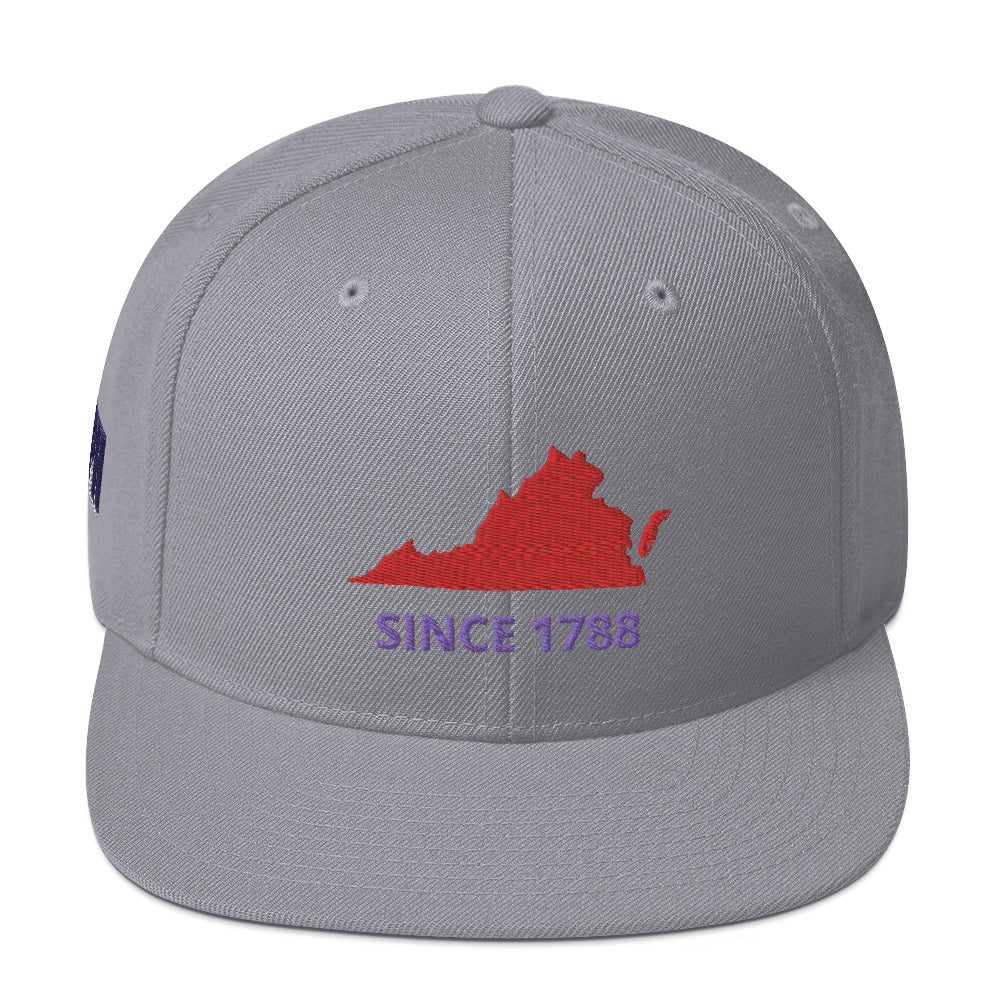 Virginia Since 1788 Flat Bill Snapback Hat