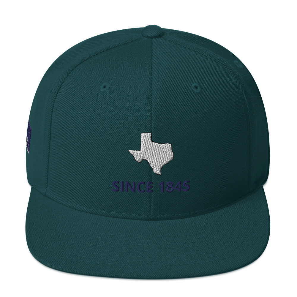 Texas Since 1845 Snapback Hat